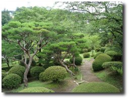 Jardin japonais