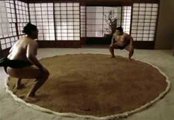 Le début d'un combat de sumo
